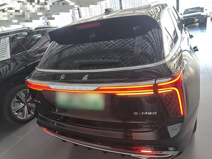 Hongqi E-HS9, 2023 — фото 6 из 9