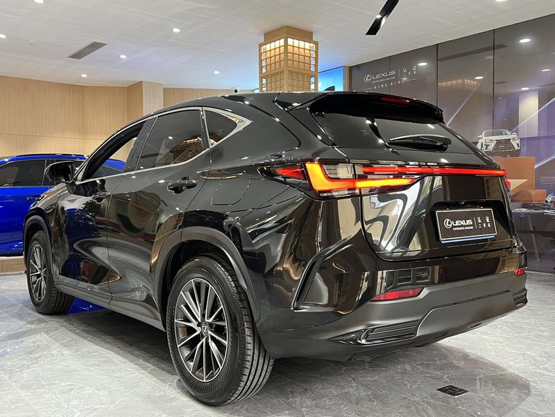 Lexus NX, 2023 — фото 4 из 12