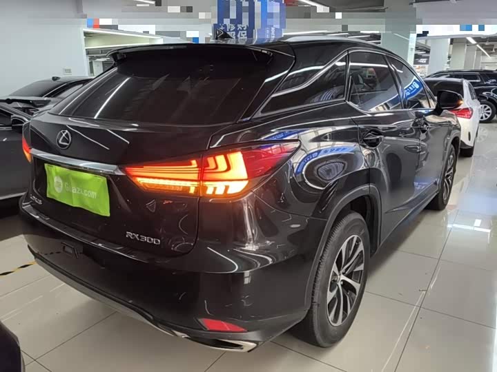 Lexus RX, 2022 — фото 7 из 9