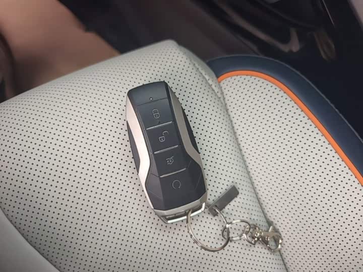 BYD Song Plus Hybrid/EV, 2022 — фото 9 из 9