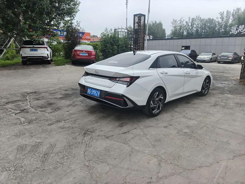 Hyundai Elantra N line, 2023 — фото 7 из 12