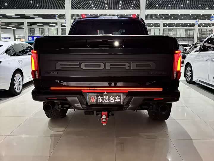 Ford F-150 Raptor, 2023 — фото 5 из 9