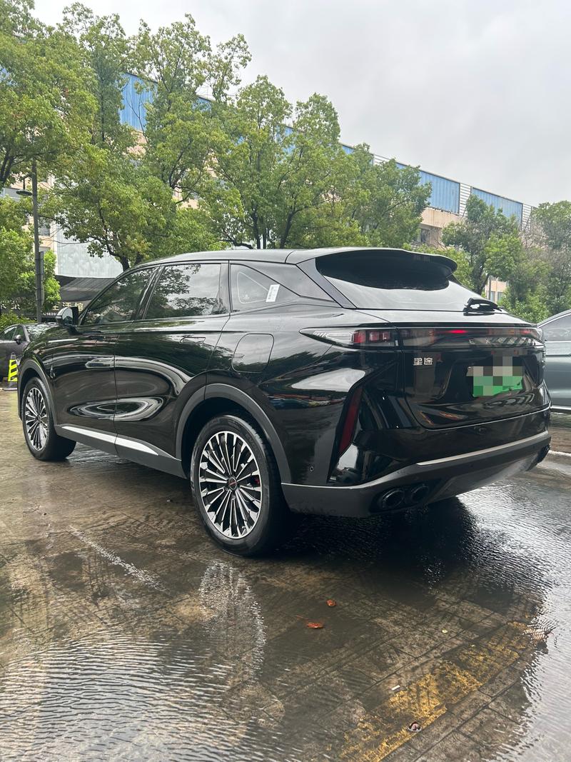 Exeed RX C-DM Hybrid, 2024 — фото 4 из 11