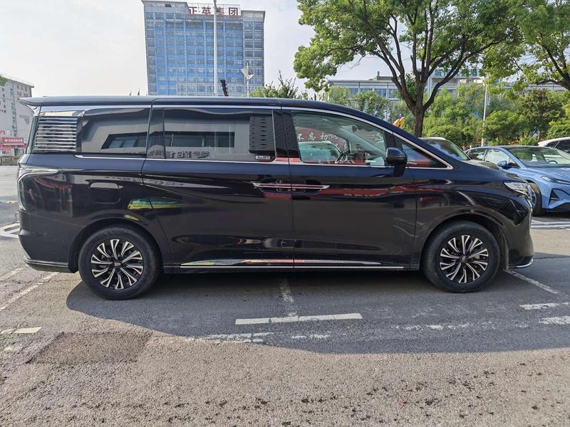 Hongqi HQ9 Hybrid, 2024 — фото 5 из 12