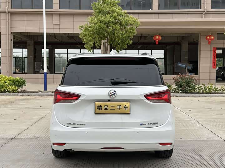 Buick GL6, 2023 — фото 8 из 9