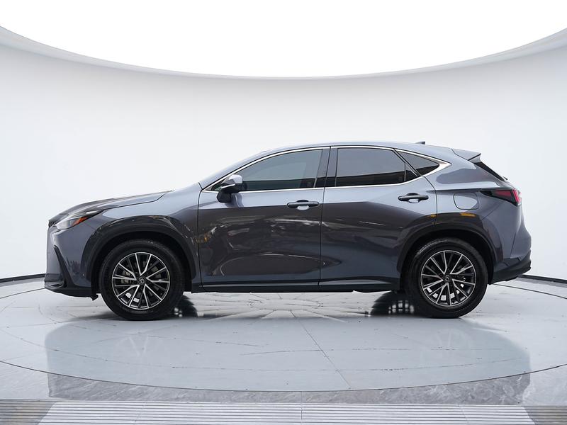 Lexus NX Hybrid, 2023 — фото 4 из 12