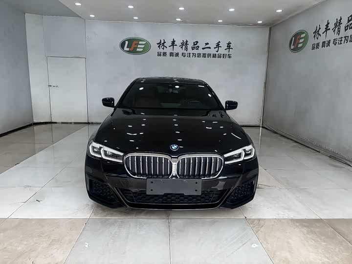BMW 5 Series Hybrid, 2023 — фото 2 из 9