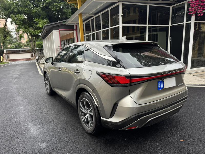Lexus RX, 2025 — фото 5 из 12