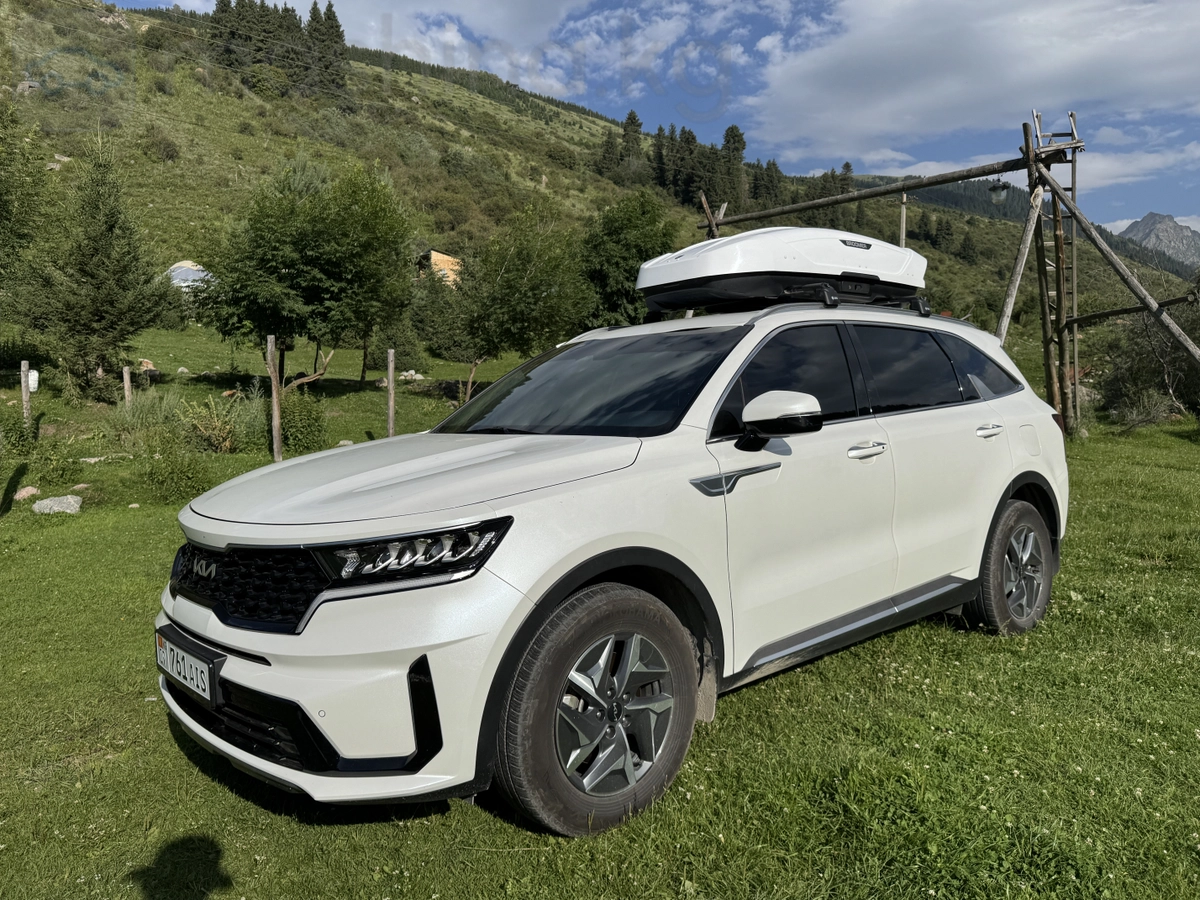 Kia Sorento, 2022 — фото 6 из 12