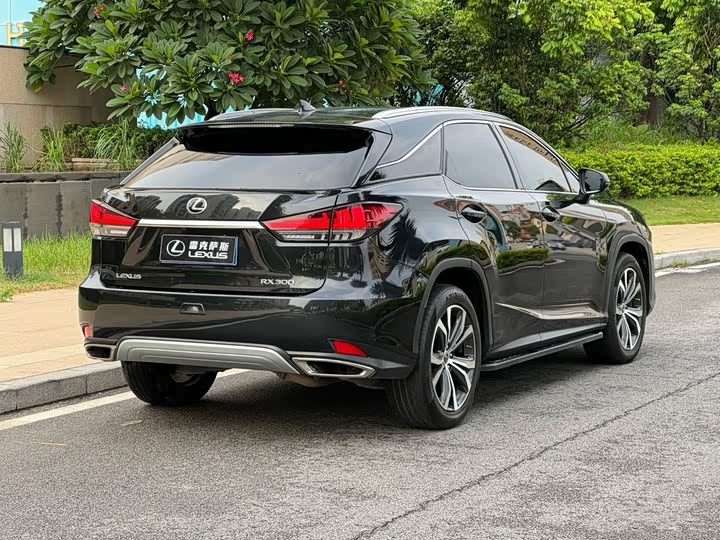 Lexus RX, 2022 — фото 6 из 9
