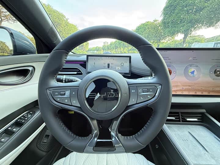 BYD Seal 06 Hybrid/EV, 2024 — фото 8 из 9