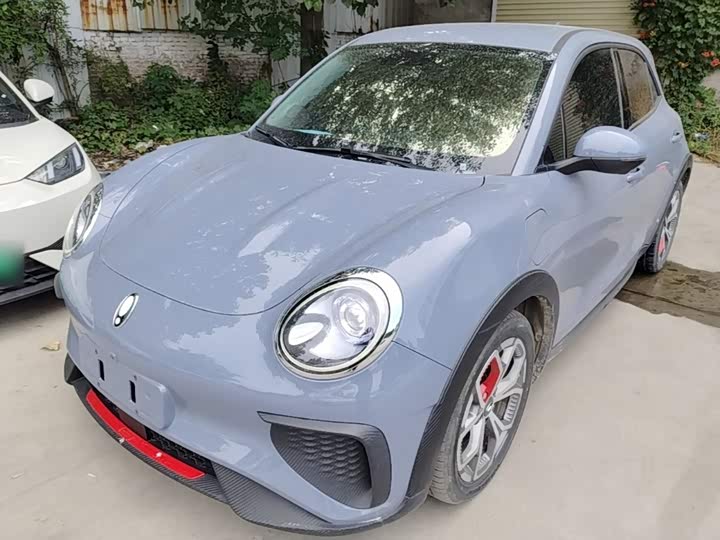 Ora Good Cat GT (03 GT), 2023 — купить в Брянске под ключ