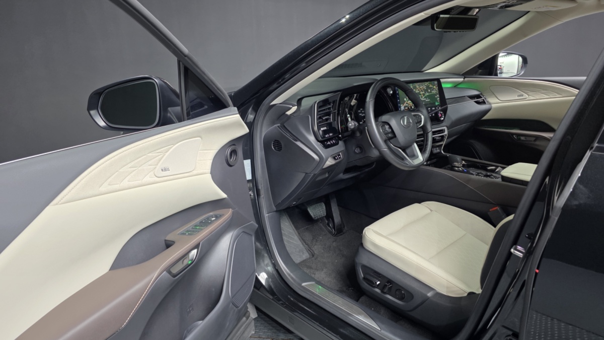 Lexus RX, 2024 — фото 10 из 12