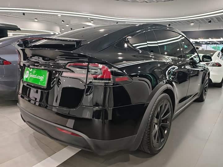 Tesla Model X, 2023 — фото 7 из 9