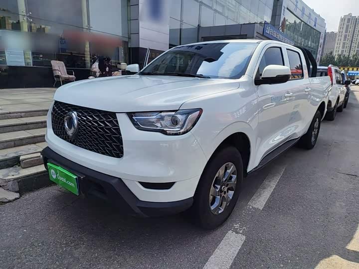 Great Wall Pao, 2022 — купить в Смоленске под ключ