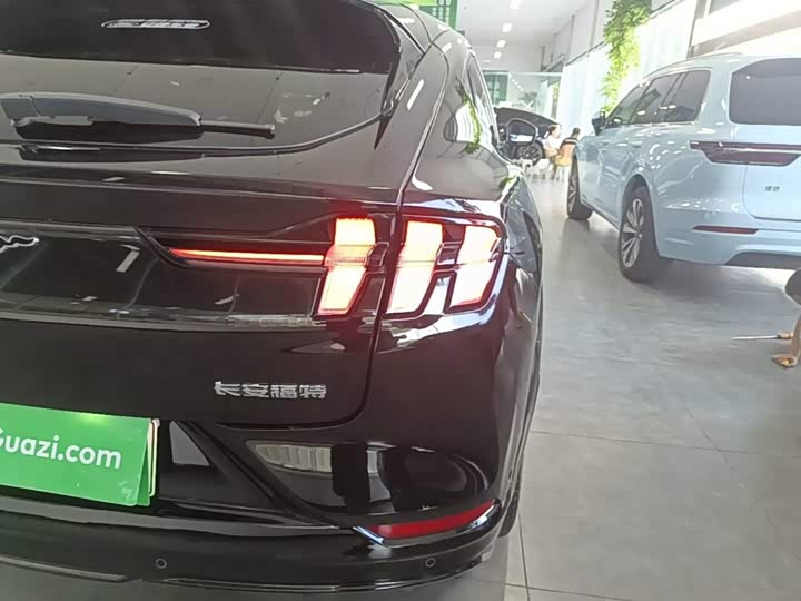 Ford Mustang Mach-E, 2023 — фото 8 из 9