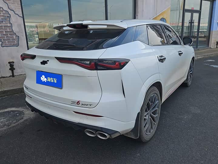 Changan Oshan Z6, 2023 — фото 3 из 9