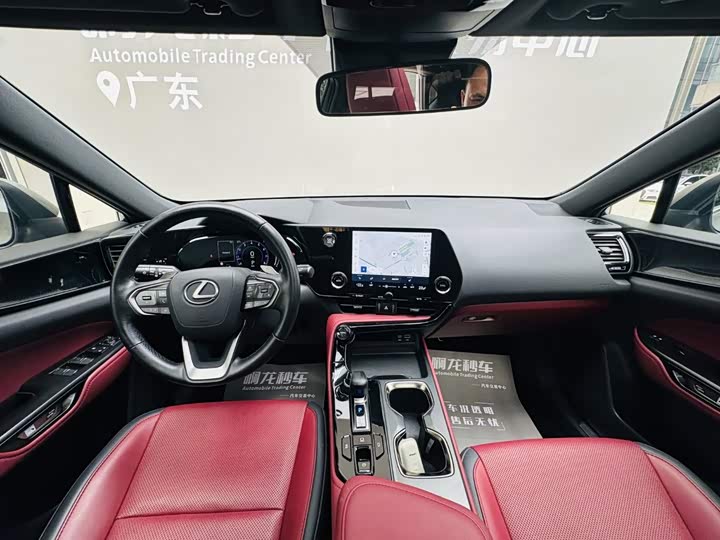 Lexus NX, 2023 — фото 6 из 9