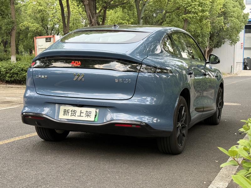 IM motors LS6, 2025 — фото 7 из 11