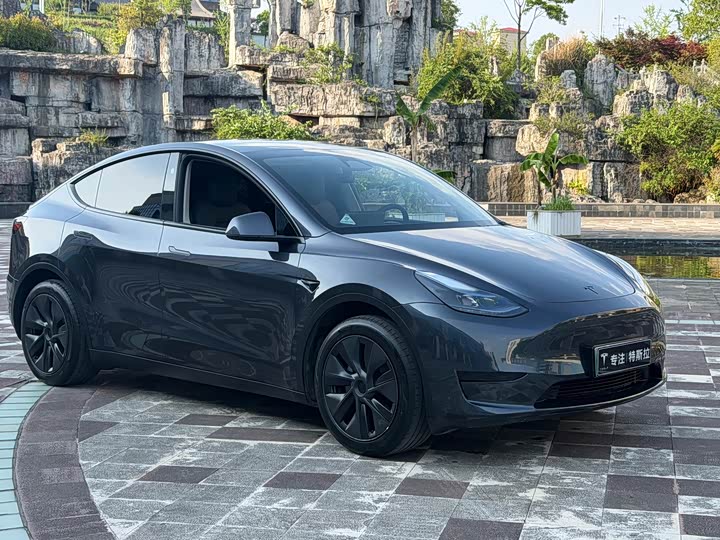 Tesla Model Y, 2024 — фото 2 из 9