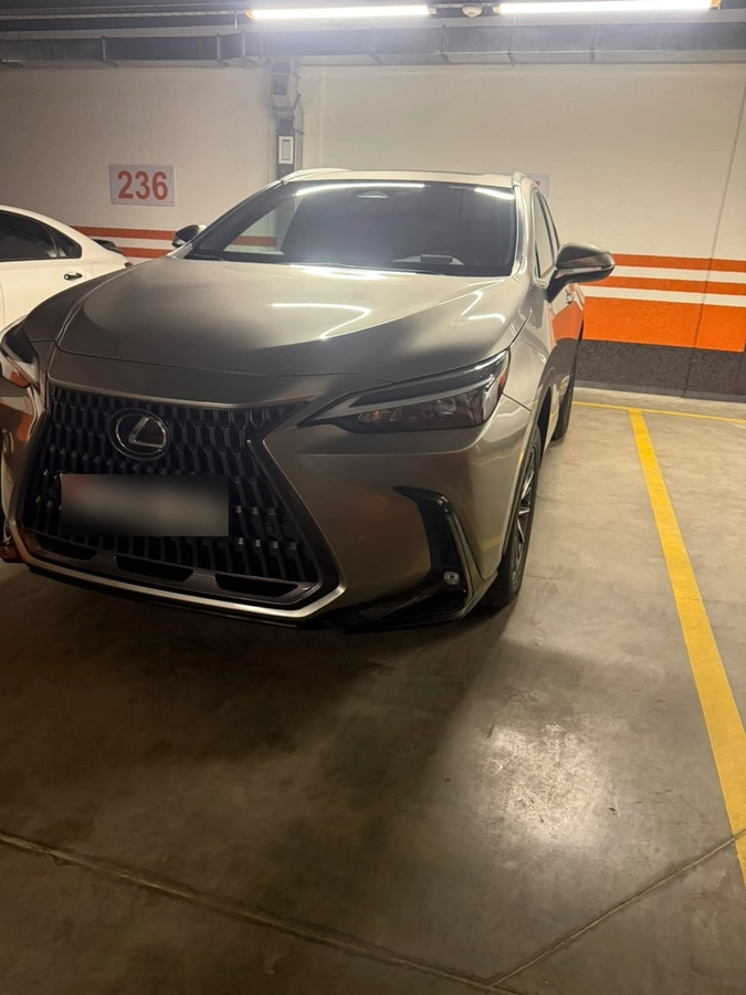 Lexus NX, 2022 — фото 2 из 7