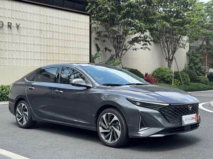 Changan Raeton Plus, 2024 — фото 3 из 9