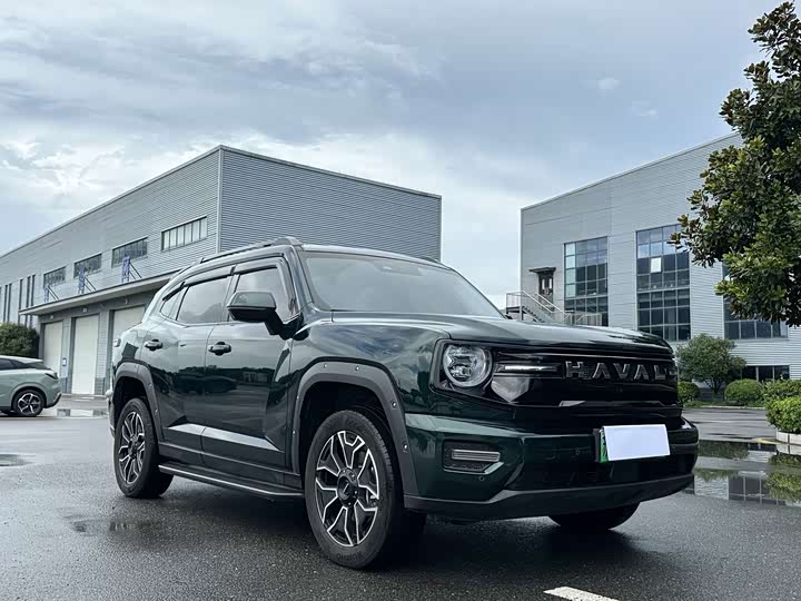 Haval H-Dog, 2025 — фото 2 из 9