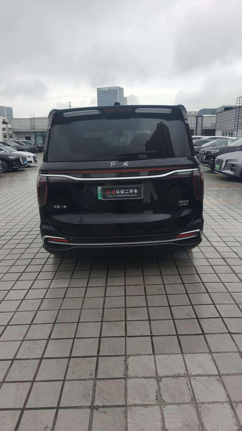 Hongqi HQ9 Hybrid, 2024 — фото 6 из 12