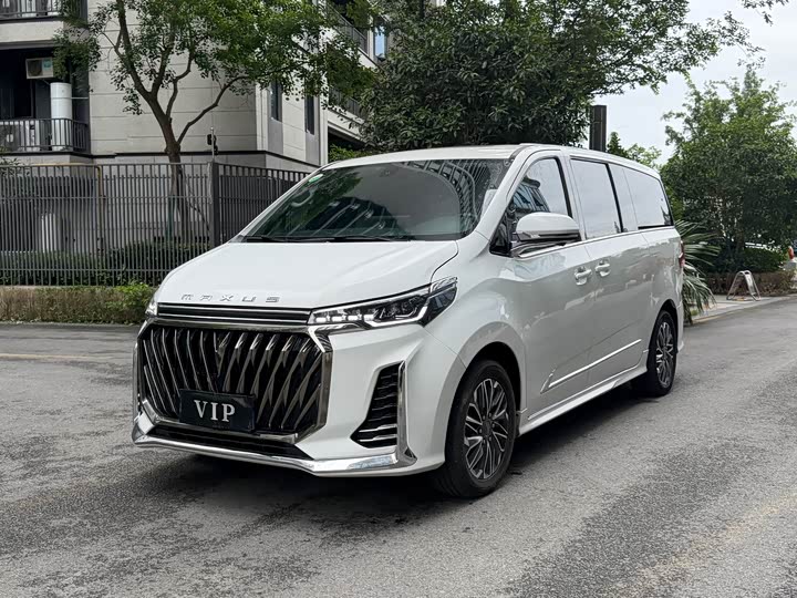 Maxus G20, 2023 — купить в Перми под ключ