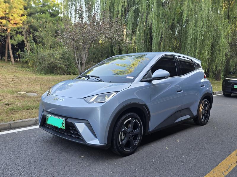 BYD Seagull, 2024 — купить в Перми под ключ