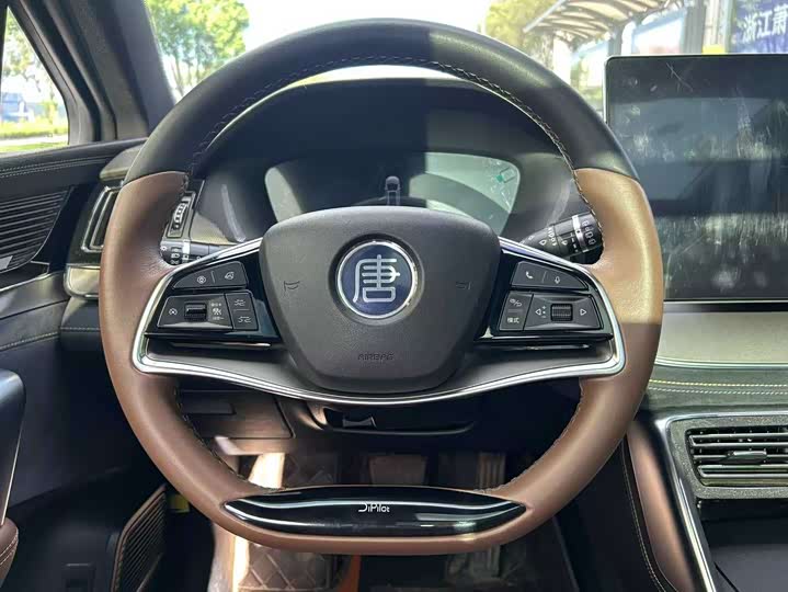 BYD Tang Hybrid/EV, 2021 — фото 8 из 9