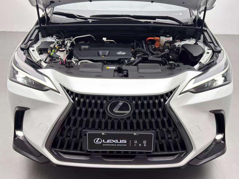 Lexus NX Hybrid, 2021 — фото 6 из 12