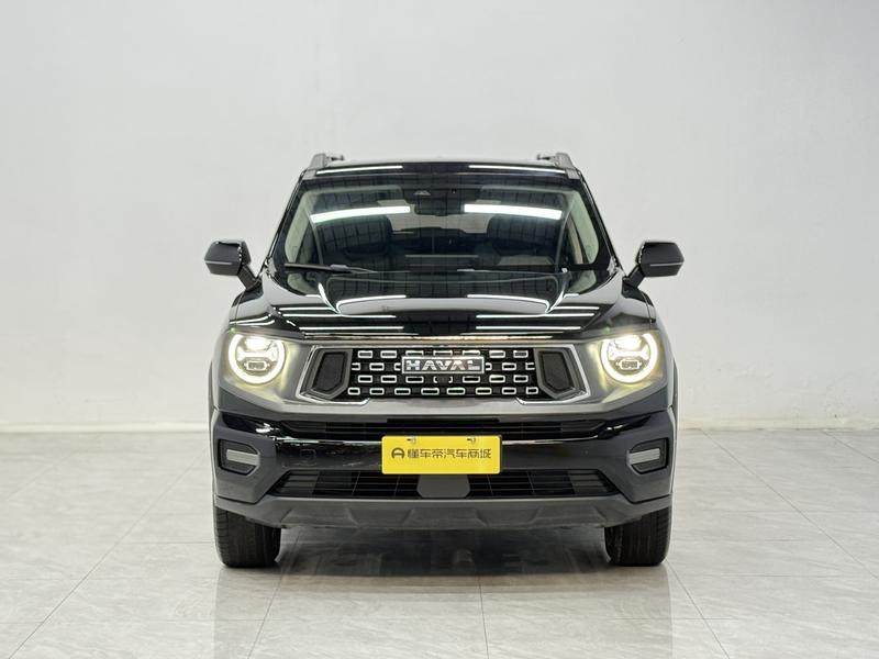 Haval H-Dog, 2023 — фото 2 из 12