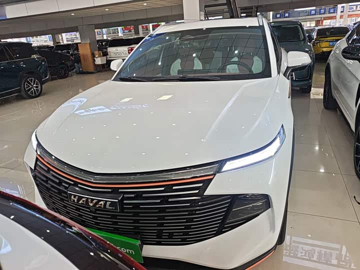 Haval F7 (Monster), 2021 — фото 3 из 9