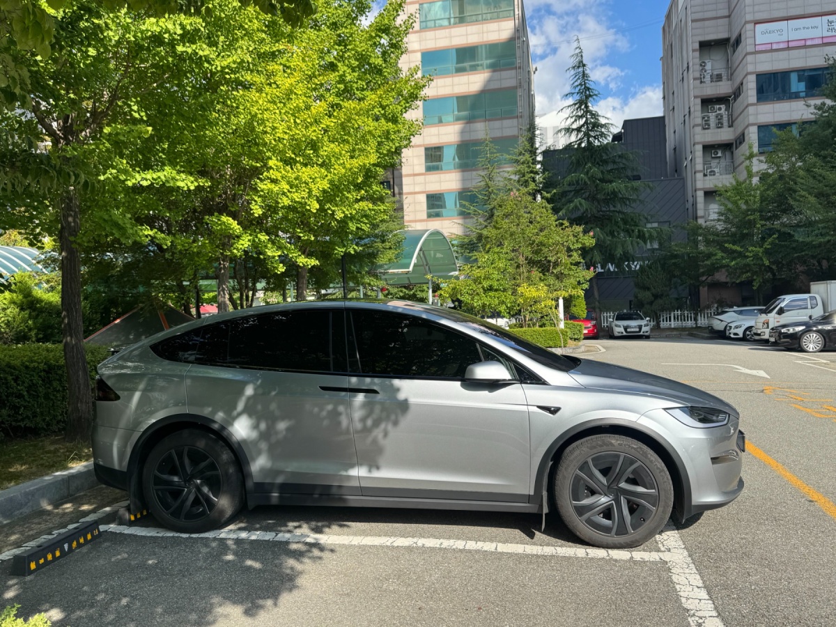 Tesla Model X, 2026 — фото 4 из 12