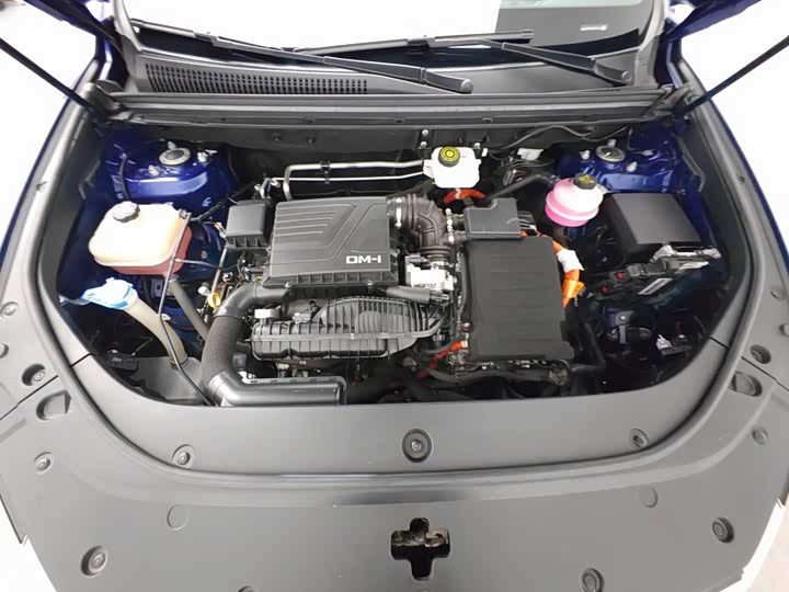 BYD Song Pro Hybrid, 2022 — фото 6 из 9