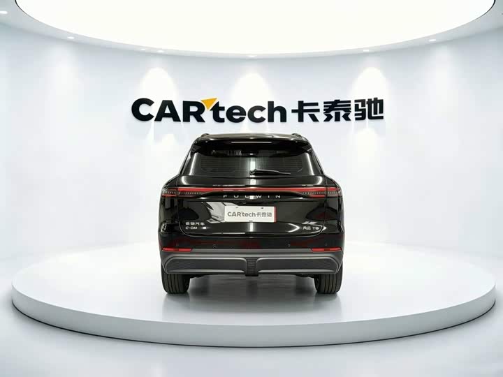 Chery Fulwin T9, 2024 — фото 4 из 9