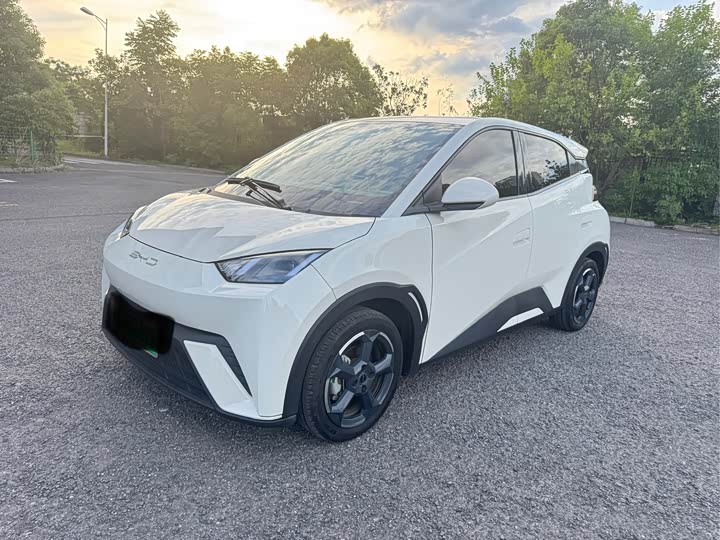 BYD Seagull, 2023 — купить в Оренбурге под ключ