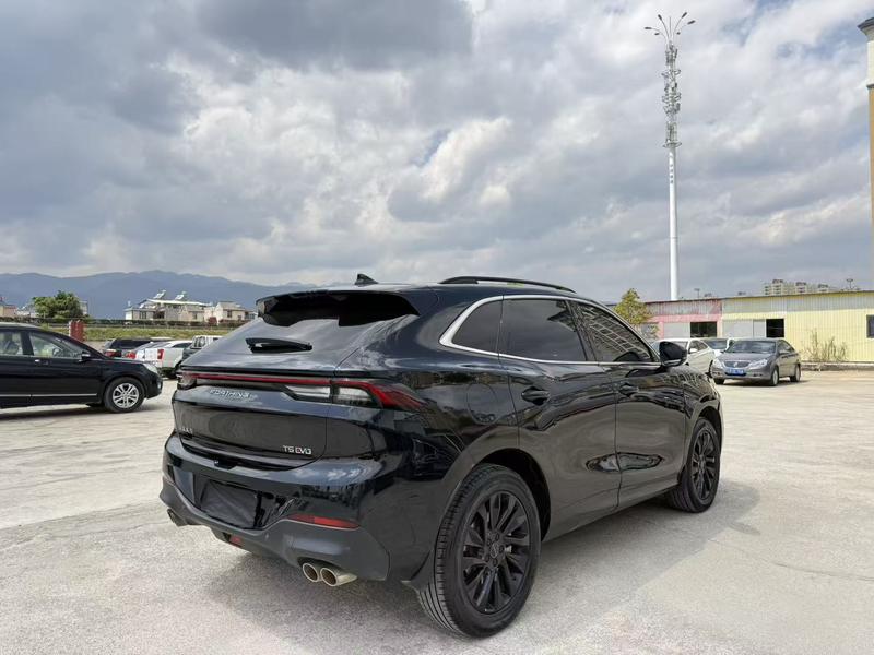 Dongfeng Forthing T5 EVO, 2021 — фото 6 из 12
