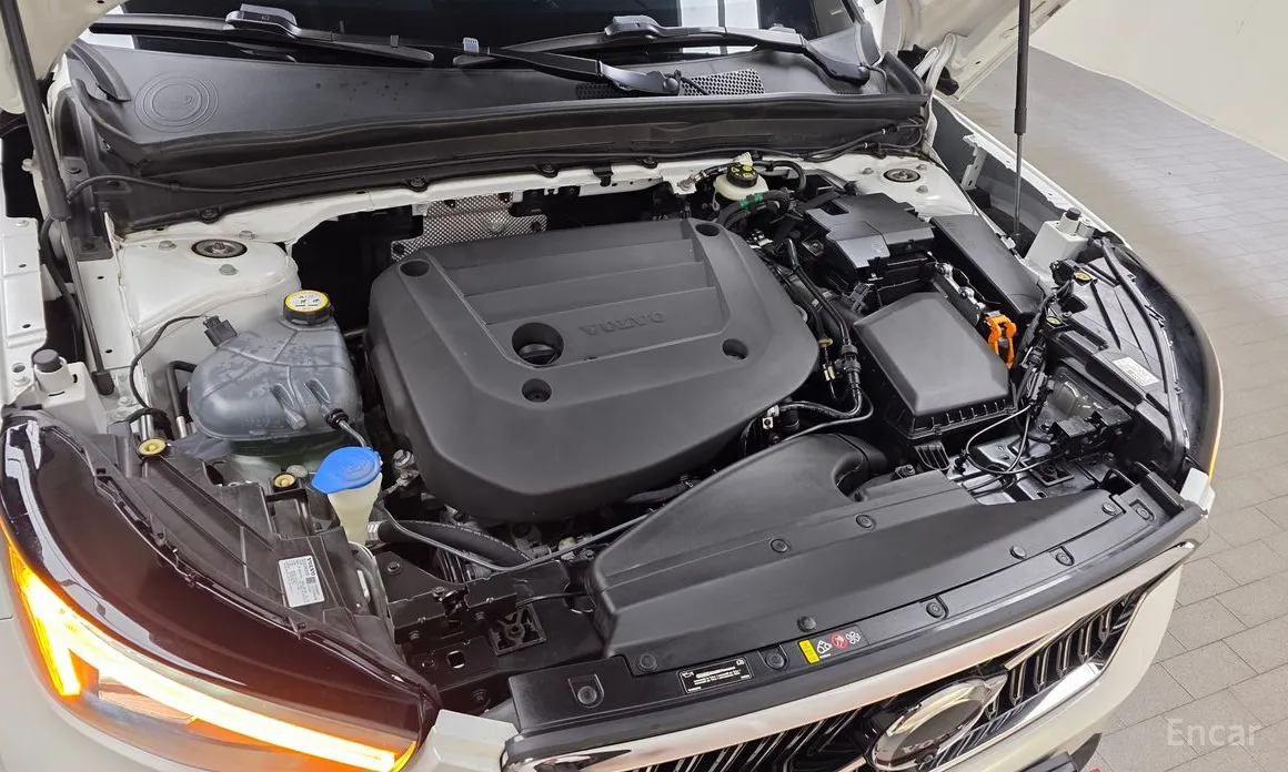 Volvo XC40, 2022 — фото 6 из 12