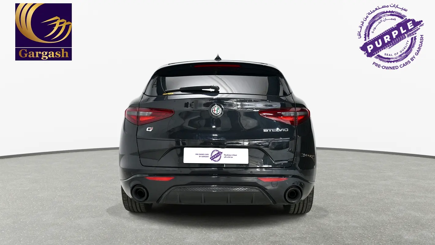 Alfa Romeo Stelvio, 2023 — фото 6 из 10