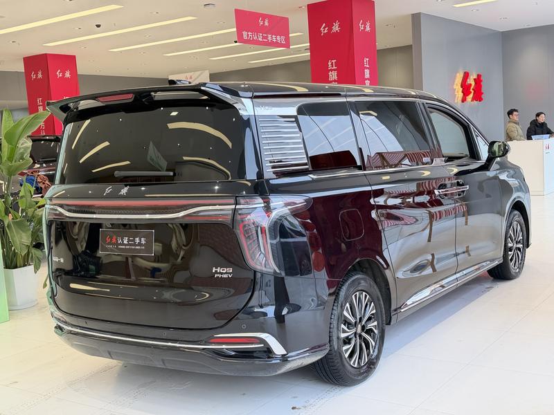 Hongqi HQ9 Hybrid, 2024 — фото 6 из 12