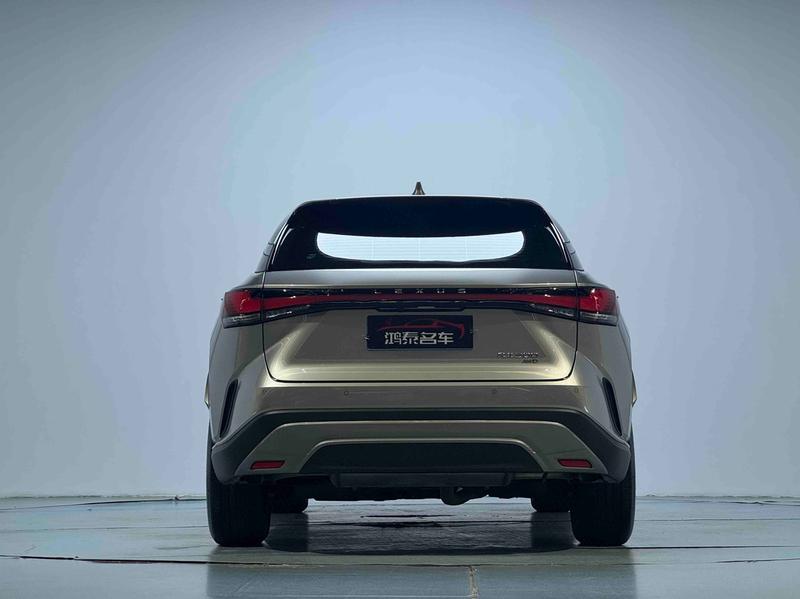 Lexus RX, 2024 — фото 6 из 12