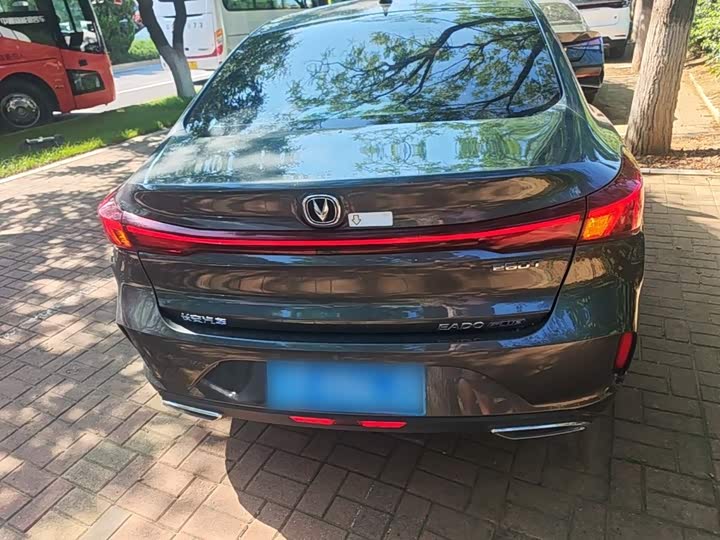 Changan Eado Plus, 2023 — фото 6 из 9