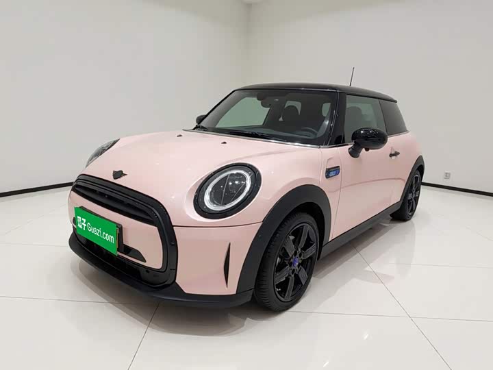 Mini Mini, 2024 — купить в Твери под ключ