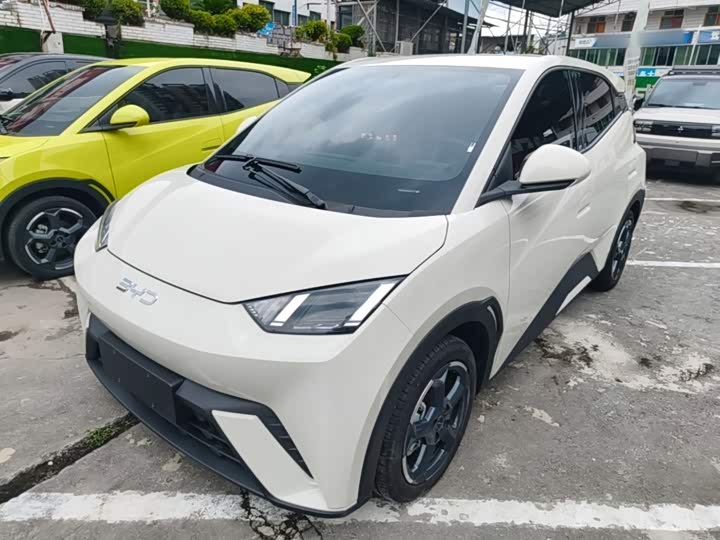 BYD Seagull, 2024 — купить в Владимире под ключ