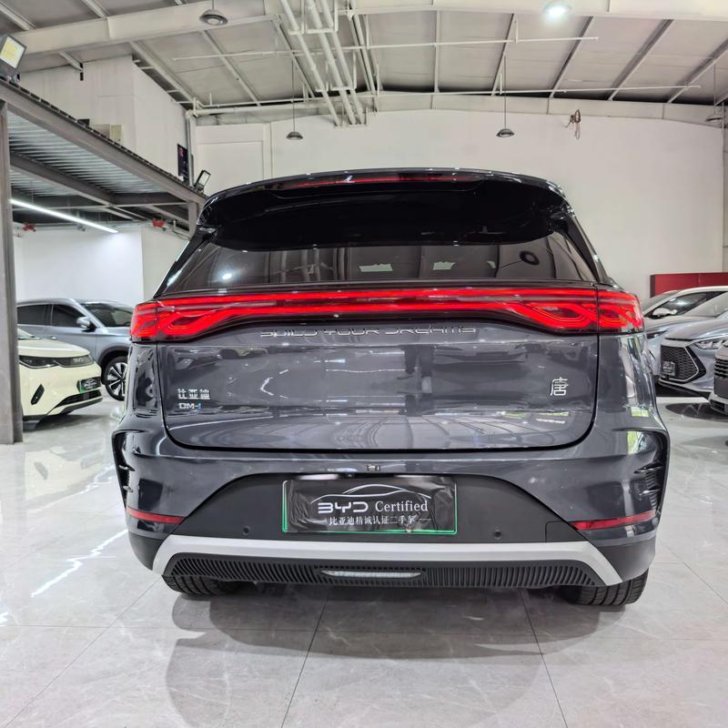 BYD Tang Hybrid/EV, 2024 — фото 2 из 10