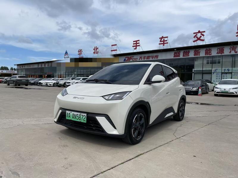 BYD Seagull, 2023 — купить в Туле под ключ