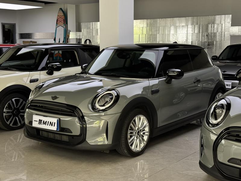 Mini Mini, 2022 — купить в Москве под ключ
