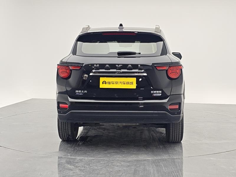 Haval H-Dog Hybrid, 2023 — фото 6 из 12